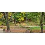 Zdjęcia użytkowników Samsung Galaxy S20 FE 5G