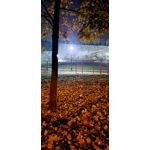 Zdjęcia użytkowników Samsung Galaxy S20 FE 5G