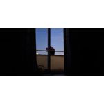 Zdjęcia użytkowników Samsung Galaxy S20 FE 5G