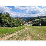 Zdjęcia użytkowników Samsung Galaxy S20 FE 5G