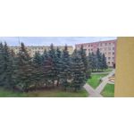 Zdjęcia użytkowników Samsung Galaxy S20 FE 5G