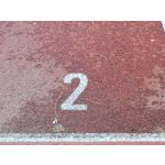 Zdjęcia użytkowników Samsung Galaxy S20 FE 5G