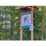 Zdjęcia użytkowników Samsung Galaxy S20 FE 5G