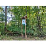 Zdjęcia użytkowników Samsung Galaxy S20 FE 5G