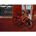 Zdjęcia użytkowników Samsung Galaxy S20 FE 5G