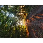 Zdjęcia użytkowników Samsung Galaxy S20 FE 5G