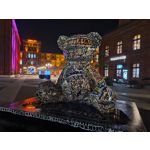 Zdjęcia użytkowników Samsung Galaxy S20 FE 5G