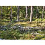 Zdjęcia użytkowników Samsung Galaxy S20 FE 5G