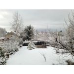 Zdjęcia użytkowników Samsung Galaxy S20 FE 5G