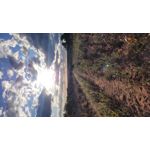 Zdjęcia użytkowników Samsung Galaxy S20 FE 5G