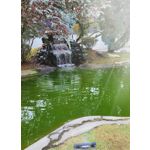 Zdjęcia użytkowników Samsung Galaxy S20 FE 5G