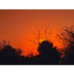 Zdjęcia użytkowników Samsung Galaxy S20 Ultra 5G Dual SIM Zdjęcia użytkowników Samsung Galaxy S20 Ultra 5G Dual SIM