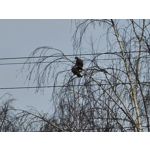 Zdjęcia użytkowników Samsung Galaxy S20 Ultra 5G Dual SIM Zdjęcia użytkowników Samsung Galaxy S20 Ultra 5G Dual SIM