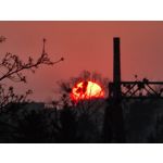 Zdjęcia użytkowników Samsung Galaxy S20 Ultra 5G Dual SIM Zdjęcia użytkowników Samsung Galaxy S20 Ultra 5G Dual SIM