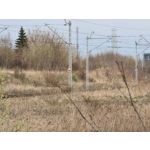 Zdjęcia użytkowników Samsung Galaxy S20 Ultra 5G Dual SIM Zdjęcia użytkowników Samsung Galaxy S20 Ultra 5G Dual SIM