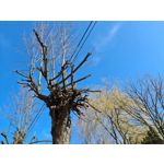 Zdjęcia użytkowników Samsung Galaxy S20 Ultra 5G Dual SIM Zdjęcia użytkowników Samsung Galaxy S20 Ultra 5G Dual SIM