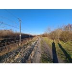 Zdjęcia użytkowników Samsung Galaxy S20 Ultra 5G Dual SIM Zdjęcia użytkowników Samsung Galaxy S20 Ultra 5G Dual SIM