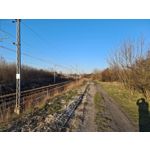 Zdjęcia użytkowników Samsung Galaxy S20 Ultra 5G Dual SIM Zdjęcia użytkowników Samsung Galaxy S20 Ultra 5G Dual SIM