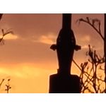 Zdjęcia użytkowników Samsung Galaxy S20 Ultra 5G Dual SIM Zdjęcia użytkowników Samsung Galaxy S20 Ultra 5G Dual SIM