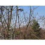 Zdjęcia użytkowników Samsung Galaxy S20 Ultra 5G Dual SIM Zdjęcia użytkowników Samsung Galaxy S20 Ultra 5G Dual SIM