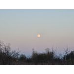 Zdjęcia użytkowników Samsung Galaxy S20 Ultra 5G Dual SIM Zdjęcia użytkowników Samsung Galaxy S20 Ultra 5G Dual SIM