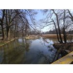 Zdjęcia użytkowników Samsung Galaxy S20 Ultra 5G Dual SIM Zdjęcia użytkowników Samsung Galaxy S20 Ultra 5G Dual SIM