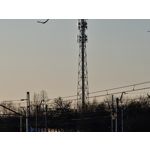 Zdjęcia użytkowników Samsung Galaxy S20 Ultra 5G