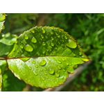 Zdjęcia użytkowników Samsung Galaxy S20 Zdjęcia użytkowników Samsung Galaxy S20