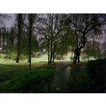 Zdjęcia użytkowników Samsung Galaxy S20 Zdjęcia użytkowników Samsung Galaxy S20