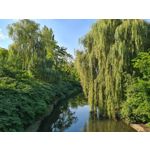 Zdjęcia użytkowników Samsung Galaxy S20 Zdjęcia użytkowników Samsung Galaxy S20