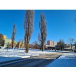 Zdjęcia użytkowników Samsung Galaxy S20 Zdjęcia użytkowników Samsung Galaxy S20