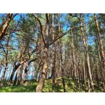 Zdjęcia użytkowników Samsung Galaxy S20 Zdjęcia użytkowników Samsung Galaxy S20