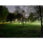 Zdjęcia użytkowników Samsung Galaxy S20 Zdjęcia użytkowników Samsung Galaxy S20