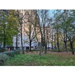 Zdjęcia użytkowników Samsung Galaxy S20 Zdjęcia użytkowników Samsung Galaxy S20