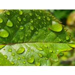 Zdjęcia użytkowników Samsung Galaxy S20 Zdjęcia użytkowników Samsung Galaxy S20