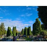 Zdjęcia użytkowników Samsung Galaxy S20 Zdjęcia użytkowników Samsung Galaxy S20