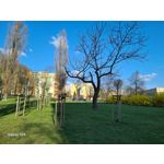 Zdjęcia użytkowników Samsung Galaxy S20 Zdjęcia użytkowników Samsung Galaxy S20