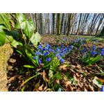 Zdjęcia użytkowników Samsung Galaxy S20+ 5G Dual SIM