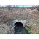 Zdjęcia użytkowników Samsung Galaxy S20+ 5G Dual SIM