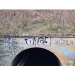 Zdjęcia użytkowników Samsung Galaxy S20+ 5G Dual SIM