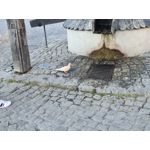 Zdjęcia użytkowników Samsung Galaxy S20+