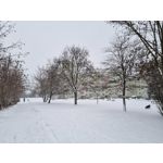 Zdjęcia użytkowników Samsung Galaxy S21 Dual SIM