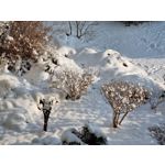 Zdjęcia użytkowników Samsung Galaxy S21 Dual SIM