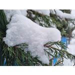 Zdjęcia użytkowników Samsung Galaxy S21 Dual SIM