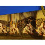 Zdjęcia użytkowników Samsung Galaxy S21 Dual SIM