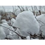 Zdjęcia użytkowników Samsung Galaxy S21 Dual SIM