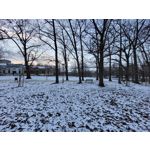 Zdjęcia użytkowników Samsung Galaxy S21 FE 5G Dual SIM Zdjęcia użytkowników Samsung Galaxy S21 FE 5G Dual SIM