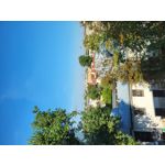 Zdjęcia użytkowników Samsung Galaxy S21 FE 5G Dual SIM Zdjęcia użytkowników Samsung Galaxy S21 FE 5G Dual SIM