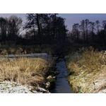 Zdjęcia użytkowników Samsung Galaxy S21 FE 5G Dual SIM Zdjęcia użytkowników Samsung Galaxy S21 FE 5G Dual SIM