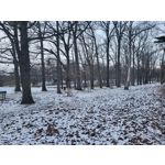 Zdjęcia użytkowników Samsung Galaxy S21 FE 5G Dual SIM Zdjęcia użytkowników Samsung Galaxy S21 FE 5G Dual SIM